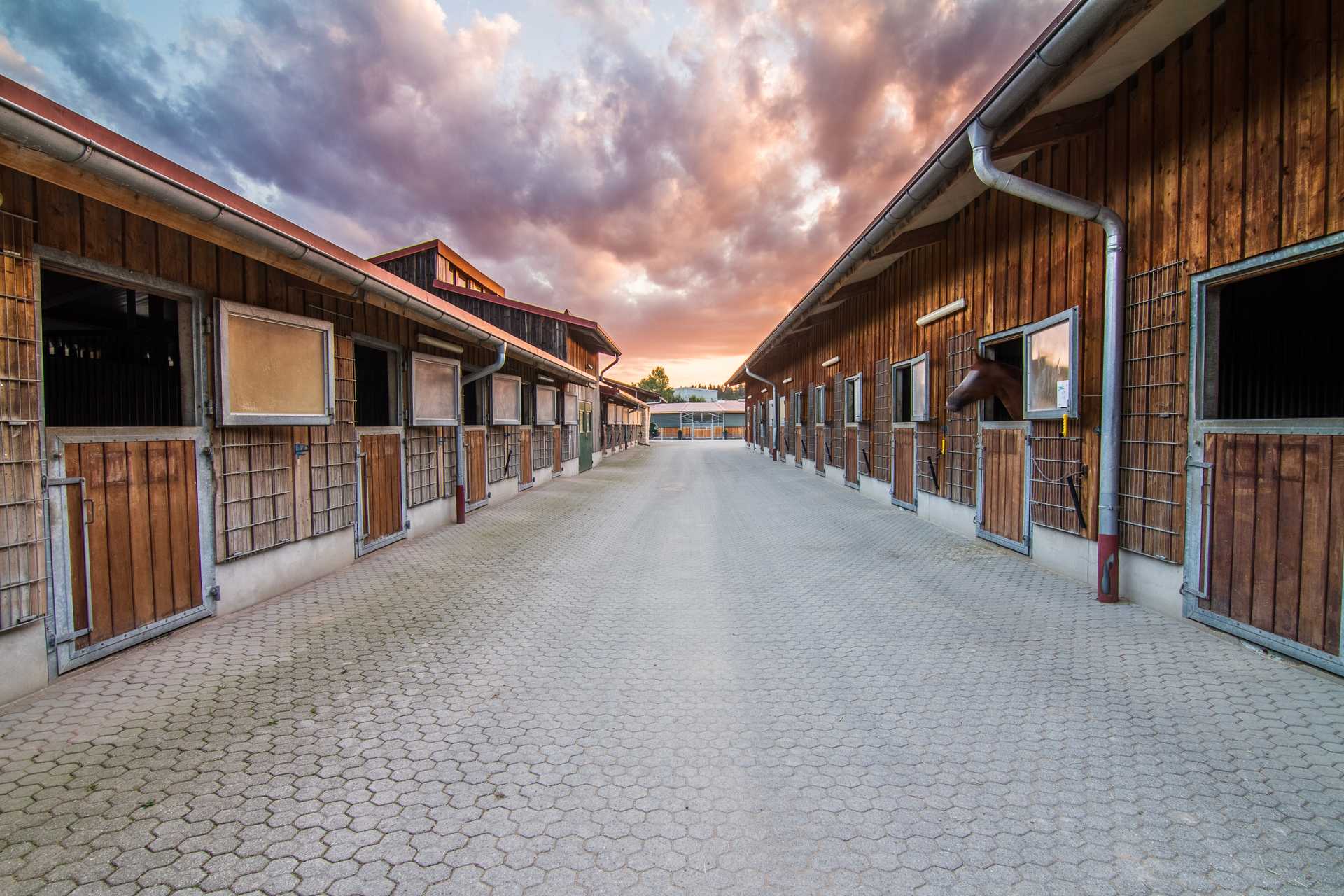 Reitanlage bei München mit großer Reithalle und in idyllischer Lage